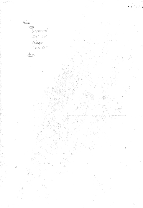 material-aluna-ceduph-timbo-09